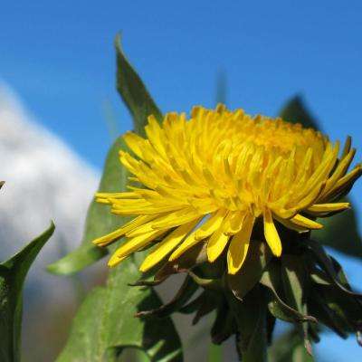 尊龙ag旗舰厅登录