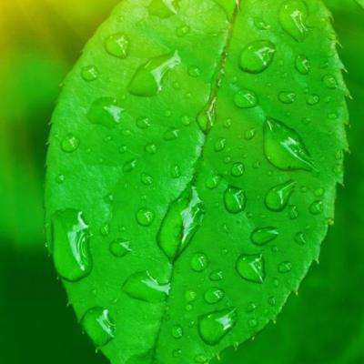 中欧·体育下载手机版